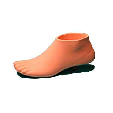 K07-adult-symes